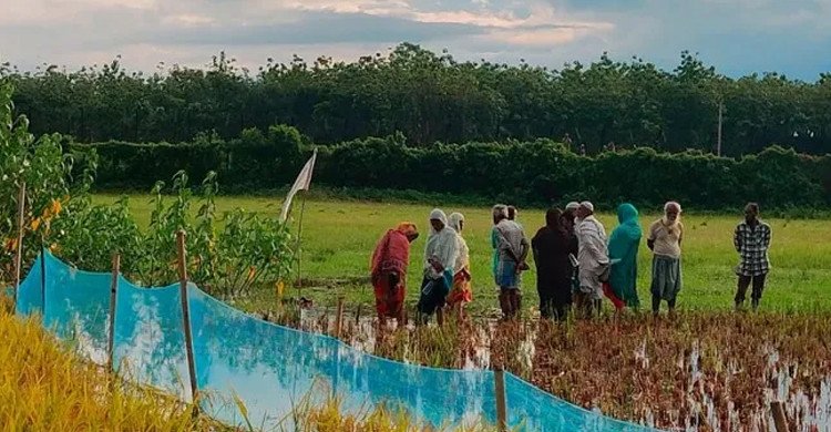 সীমান্তে 'পুশ ইন' ভারতের মানবাধিকার লঙ্ঘন, নীরব রাজনৈতিক মহল